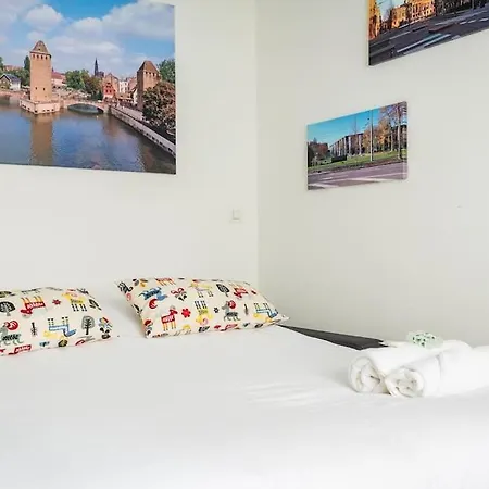 Le Saint-florent - Proche Centre, Chu, Zenith Et Gare * Strazburg