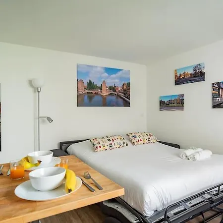 Le Saint-florent - Proche Centre, Chu, Zenith Et Gare Strazburg